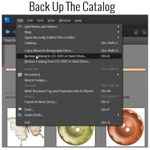 BackUpCatalog